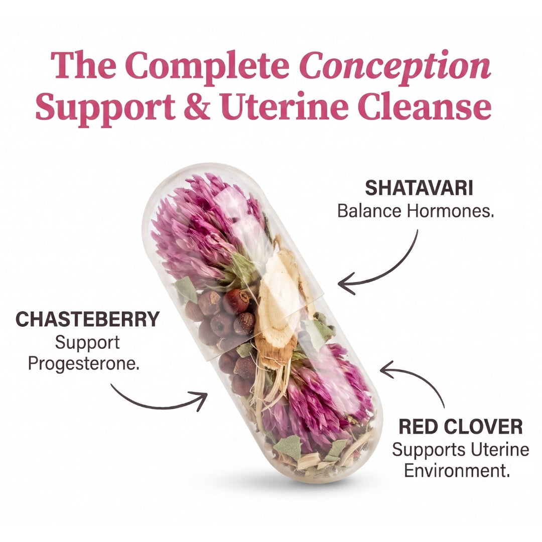 Personalized Pre-Conception Formulation and Protocol
