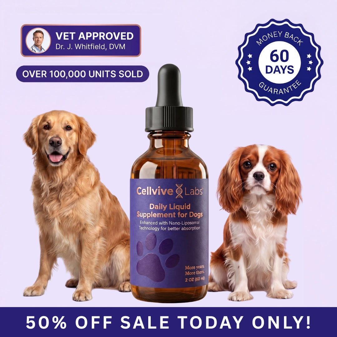 NAD+ Daily Liquid Supplement