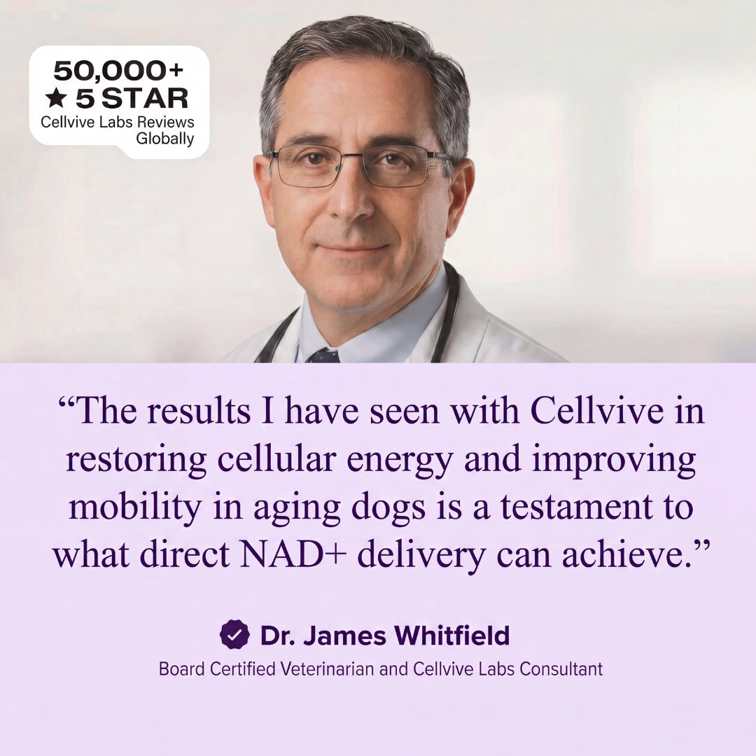 NAD+ Daily Liquid Supplement